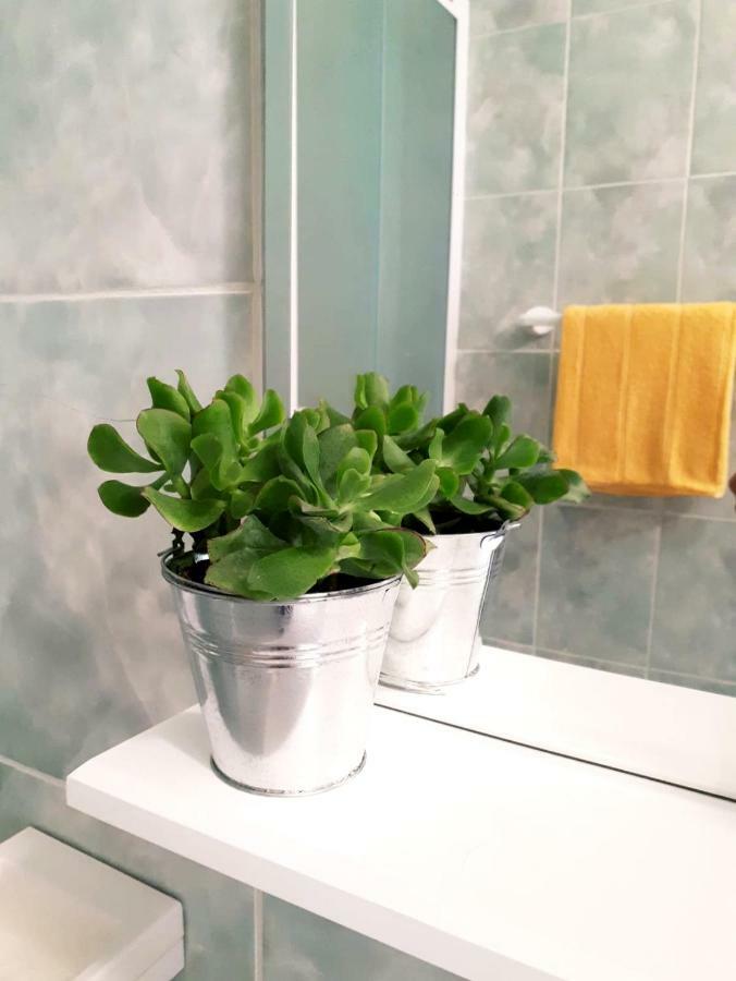 Apartments Dani بول المظهر الخارجي الصورة